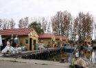 Margot Klingers